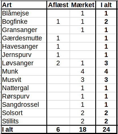 4.runde 20210530