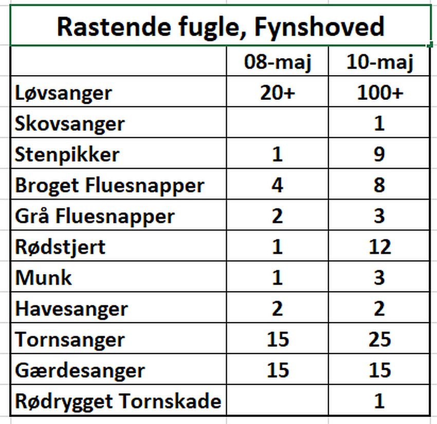 tirsdagstabelsg