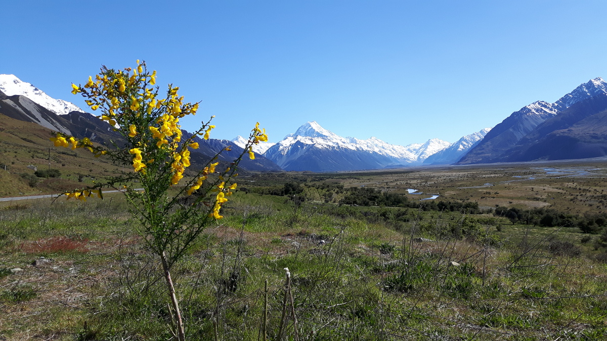 MtCook NZ