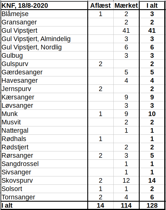 KNF 20200819 endelig