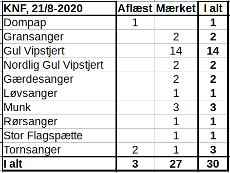 KNF 20200821