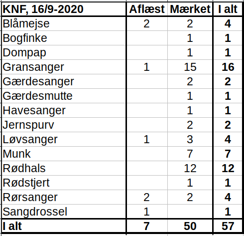 KNF 20200916xx