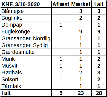 KNF 20201003