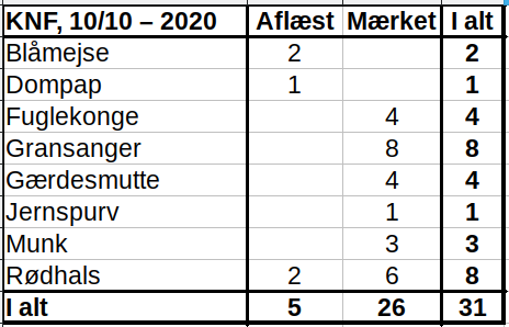 KNF 20201010 redigeret