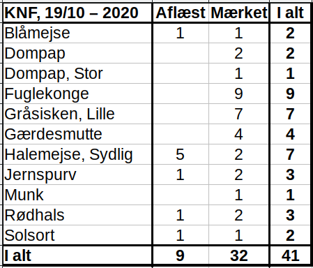 KNF 20201019