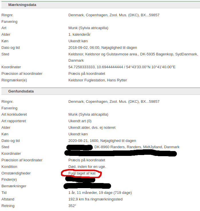 Munk BX59857 kattemad