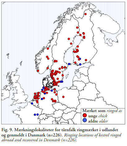 Tarnfalk maerkningslokaliter udlandet