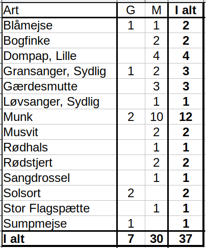 CES Holmdrup 01