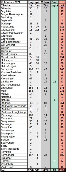 KNF GT 2021