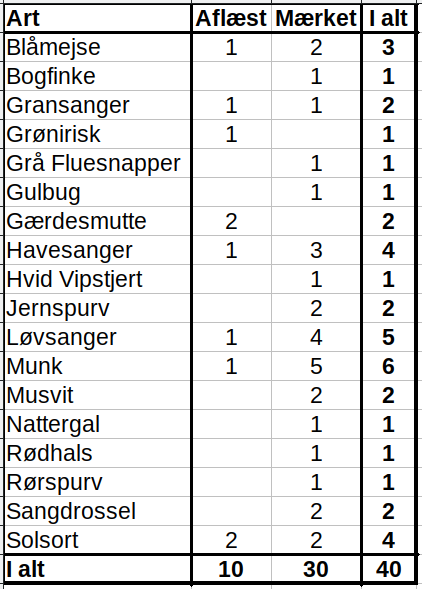 Lunget 24.5