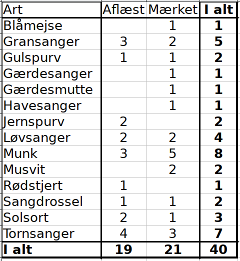 Svendborg 2CES runde