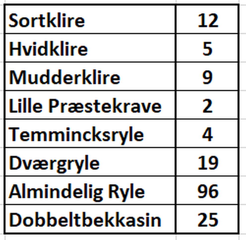 091221vadeskema1