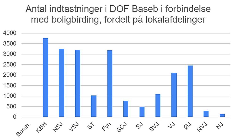 060321dofbasebbb