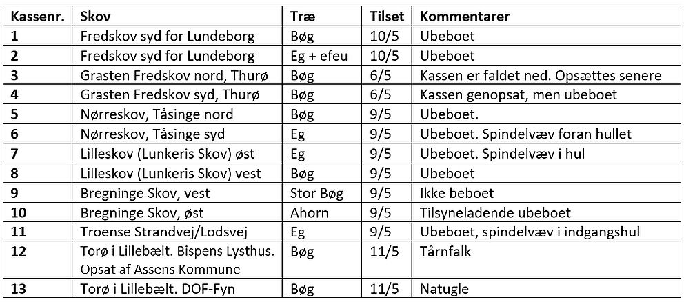 051521skalleskema