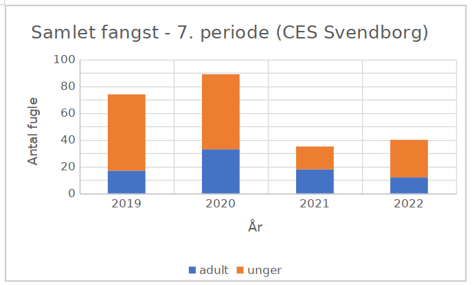 CES 7 Svendborg grafik