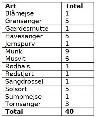 CES 7 Svendborg