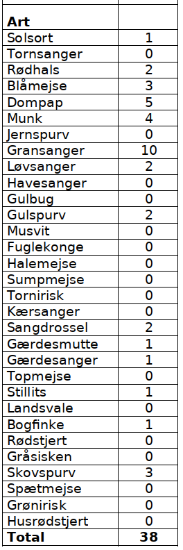 CES Svendborg 1