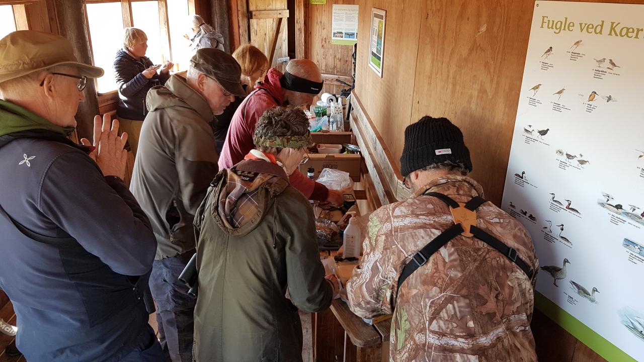 062222 Frokost i fugletrnet SteenKrogh