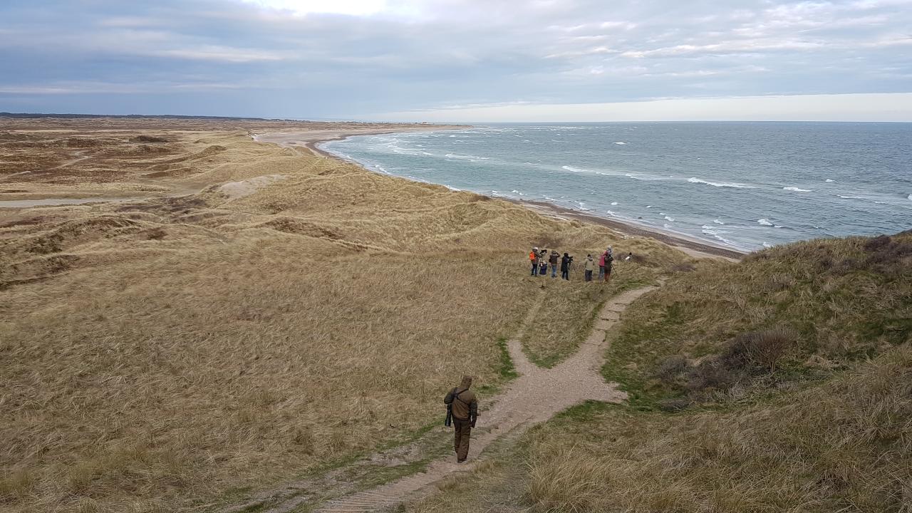 062222 Udsigt fra Bulbjerg SteenKrogh