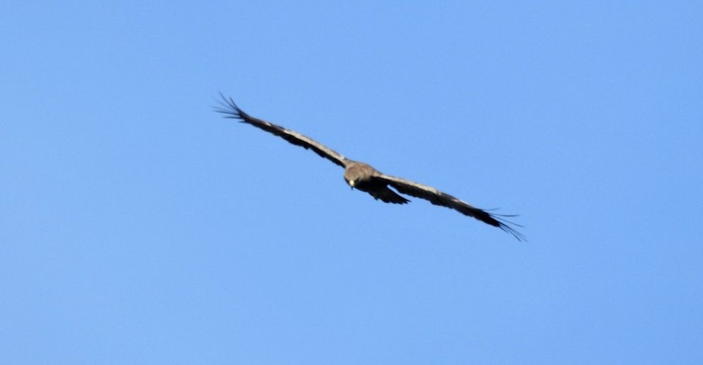 050922lilleskrigfmp