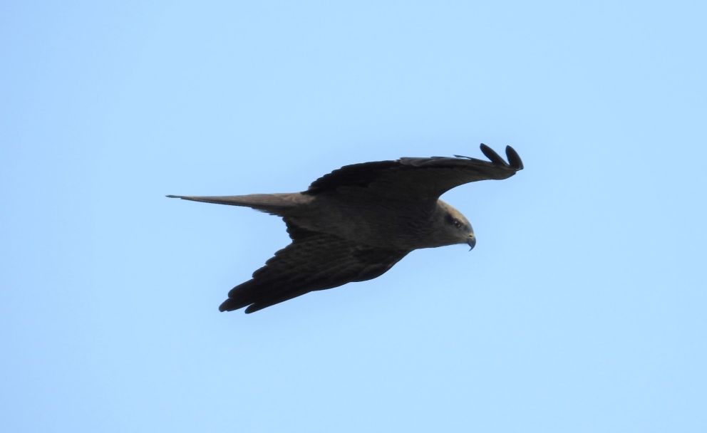 050922sortglentefmp