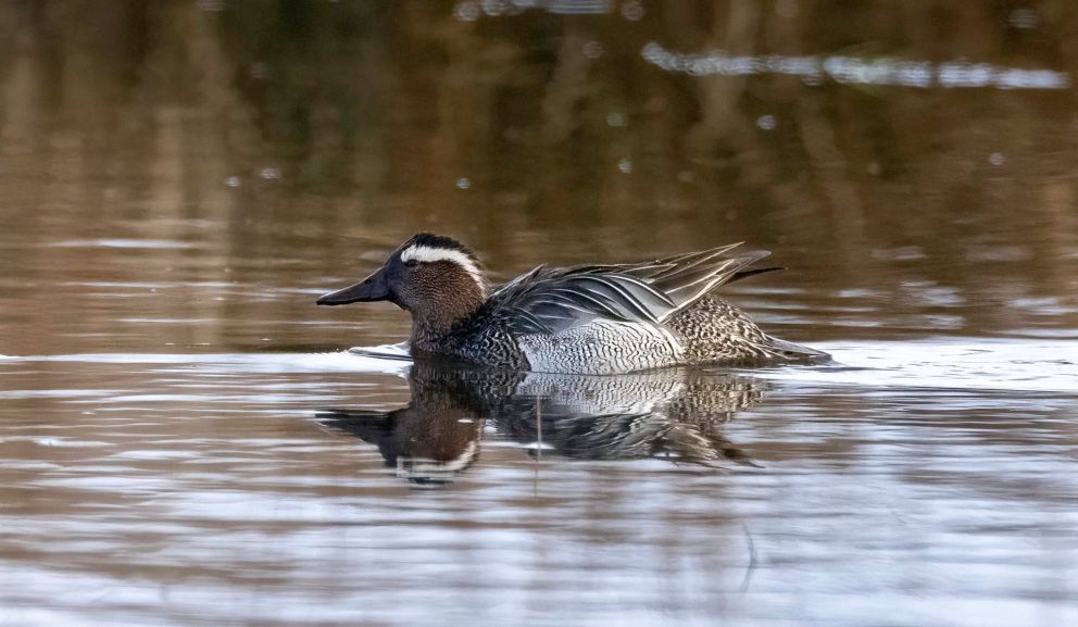 041522atlbispesa