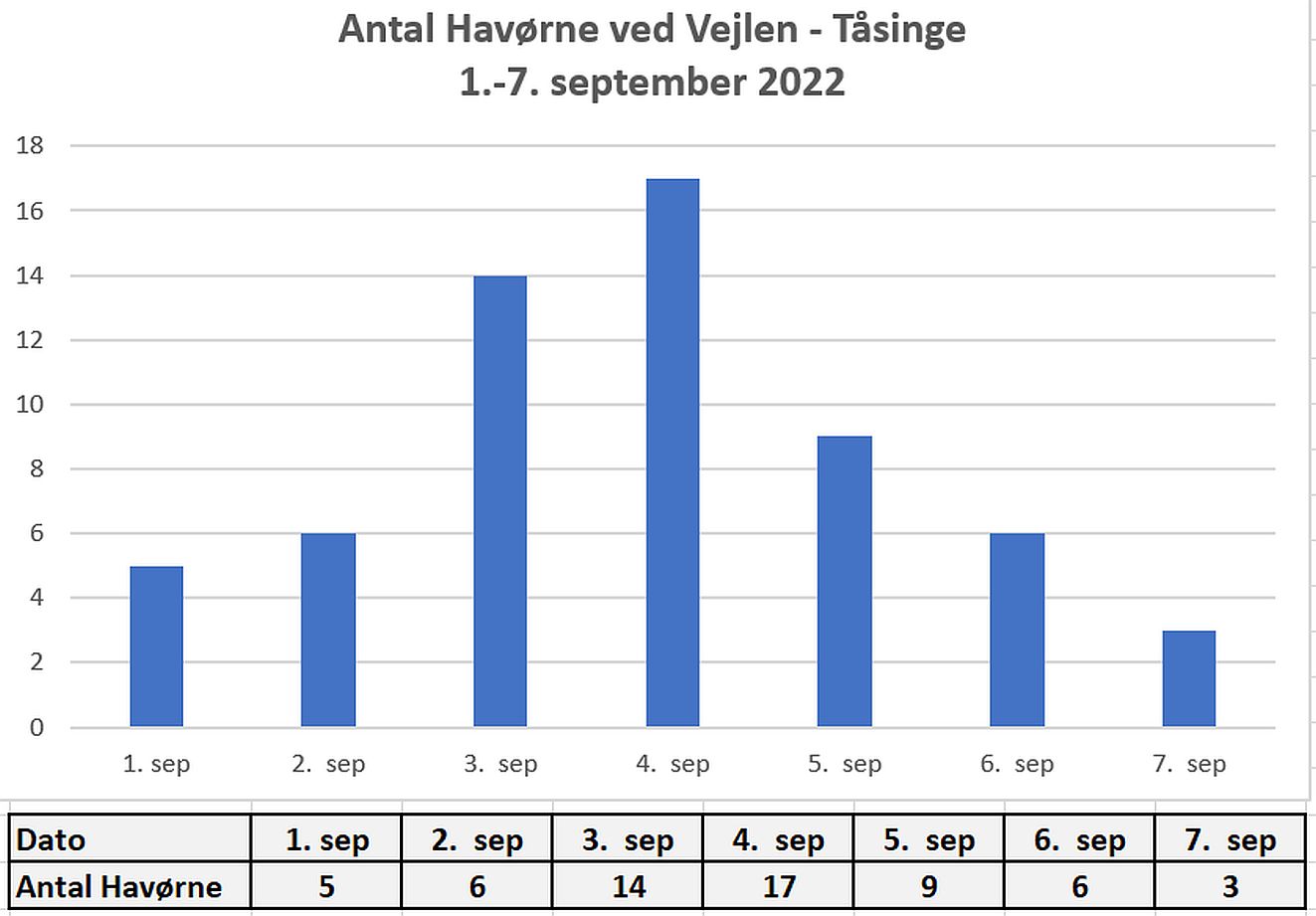 083122havdiagram