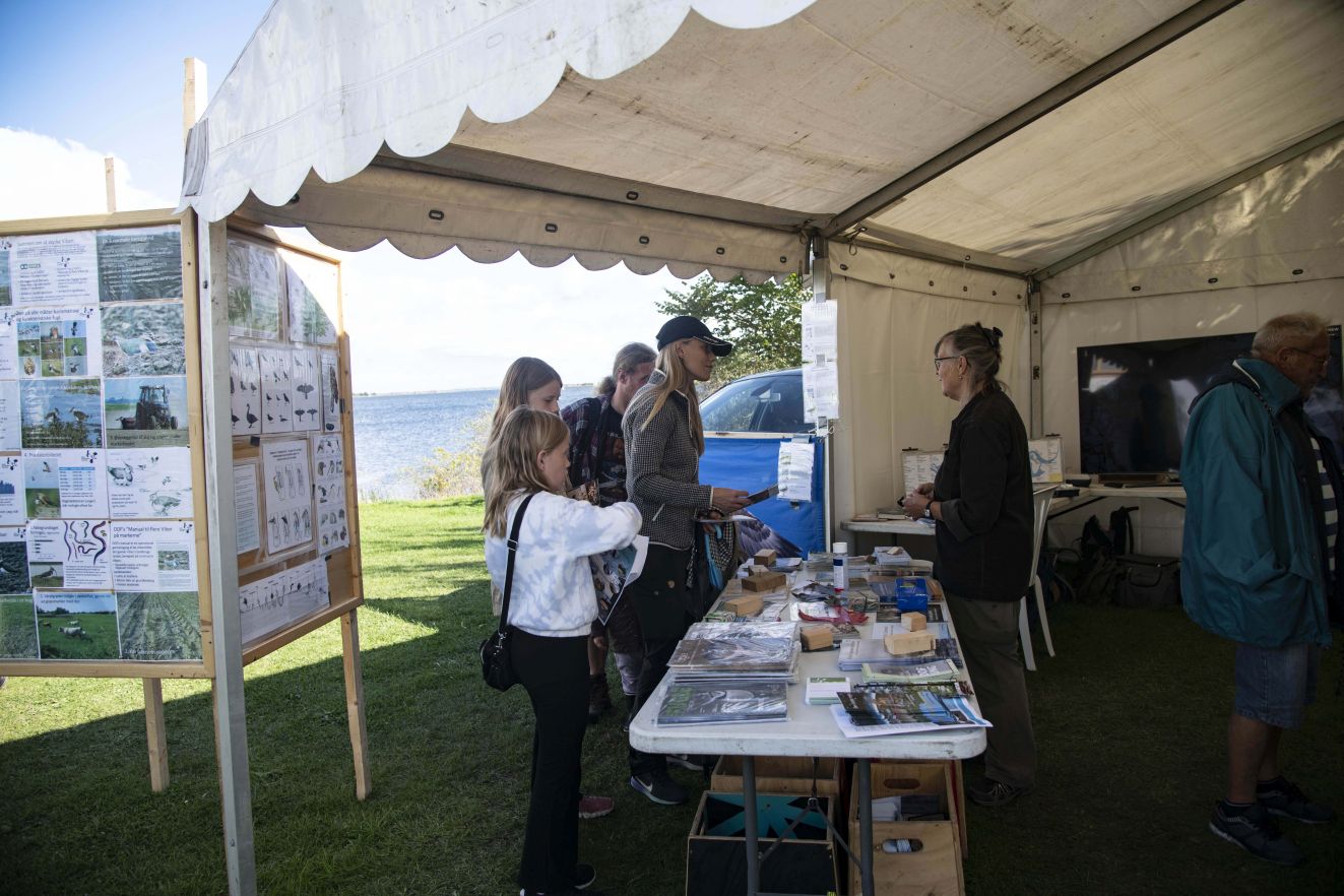 082822fjordag1jha