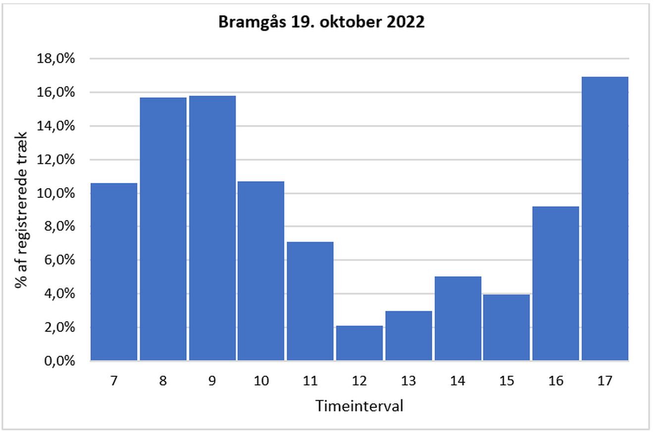 140823bramgraf2