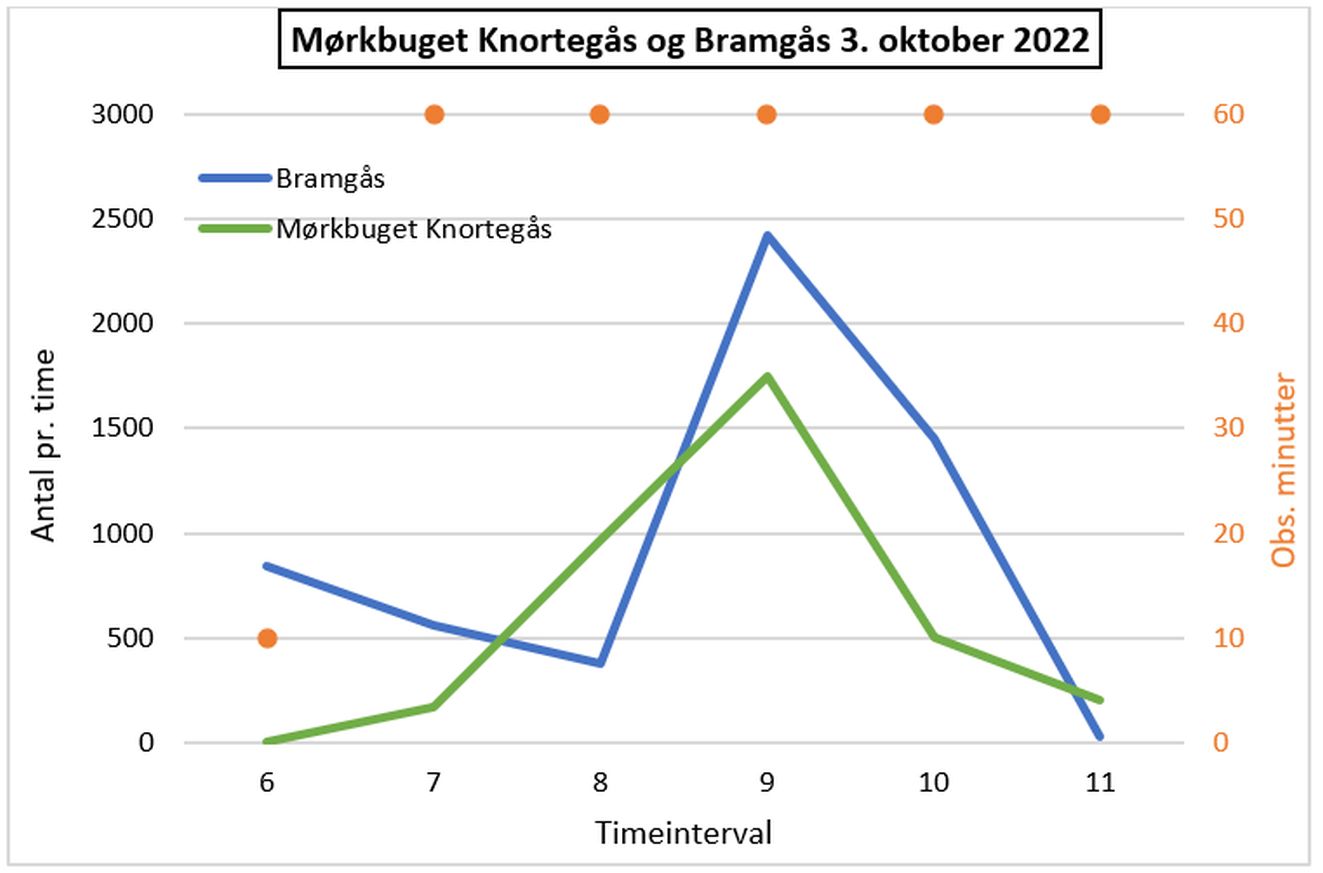 140823bramknortgraf