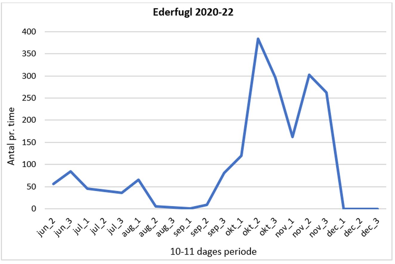 140823edergraf