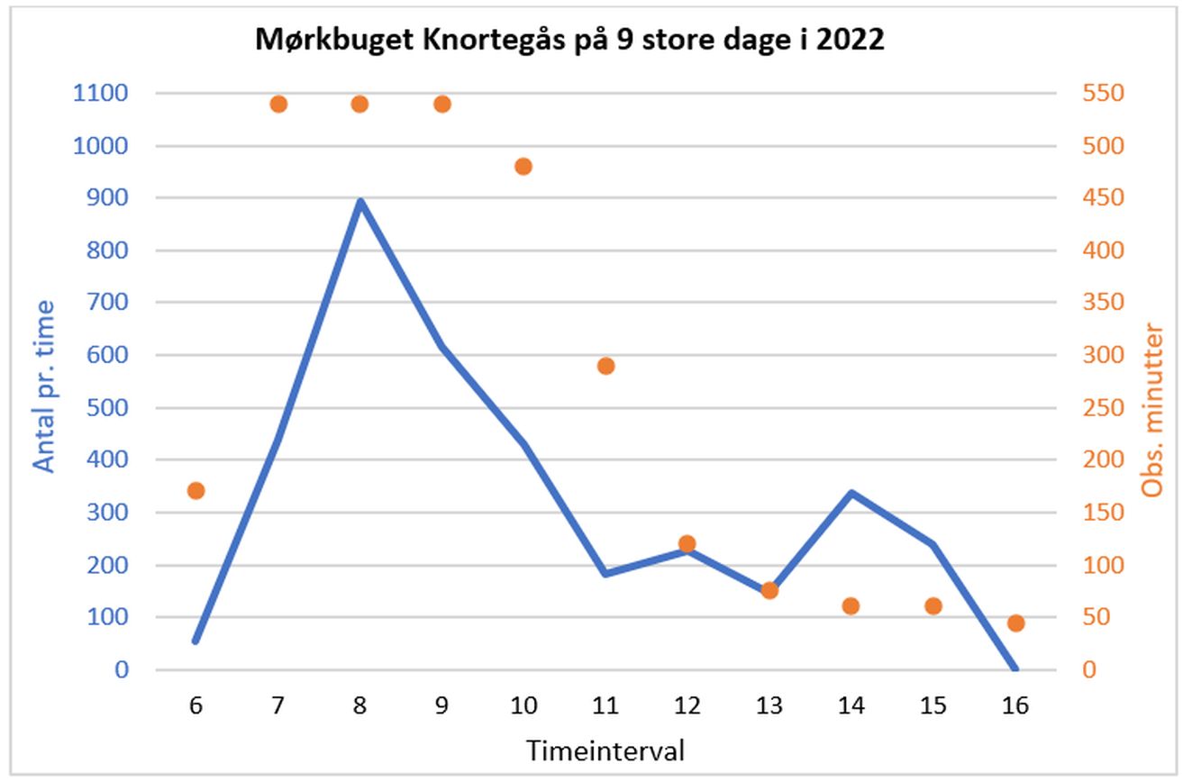 140823knortegraf1