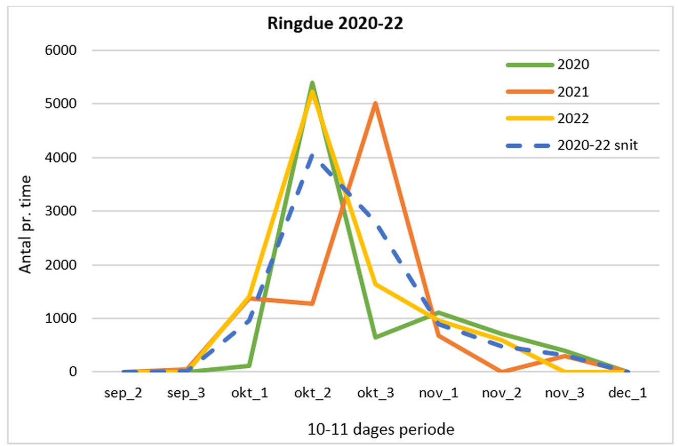 140823ringgraf