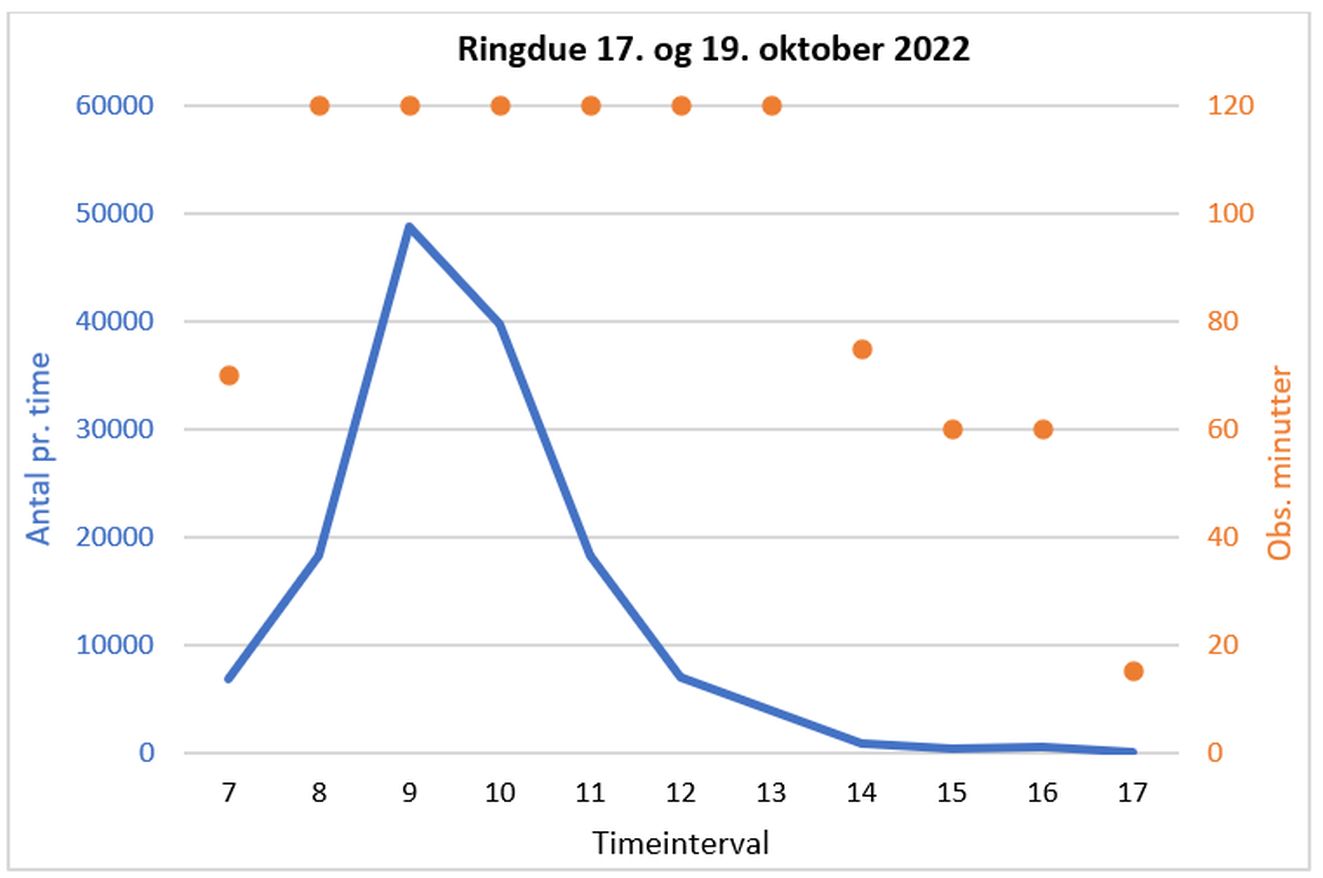 140823ringgraf1