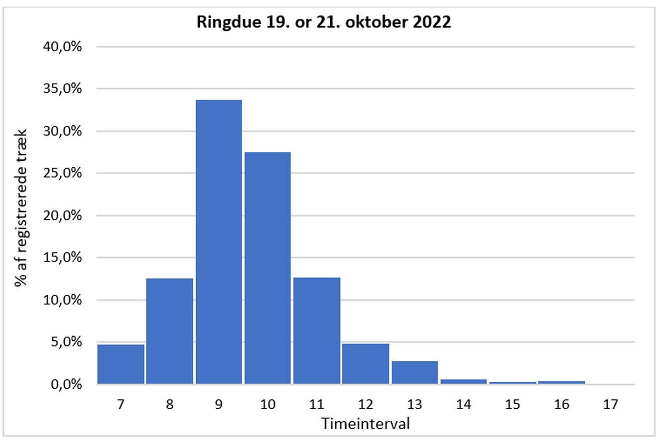 140823ringgraf2