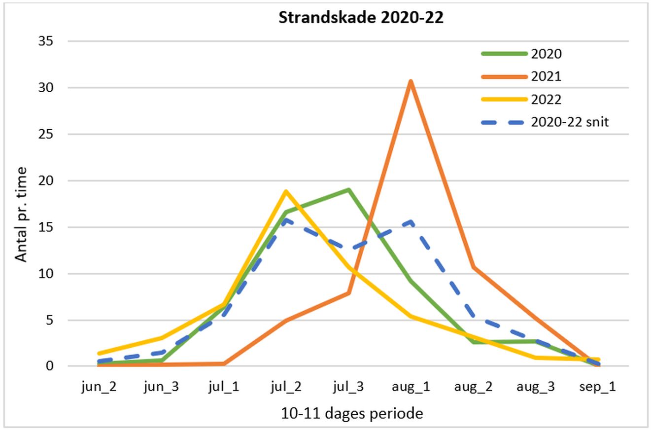 140823strandgraf