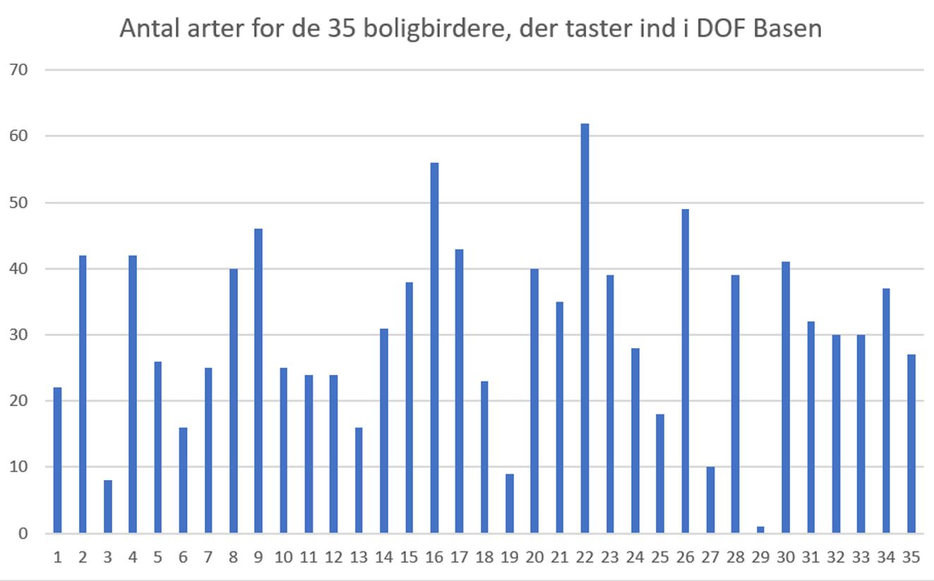 220223boligart1