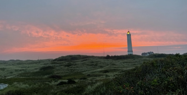 morgenobsblavand