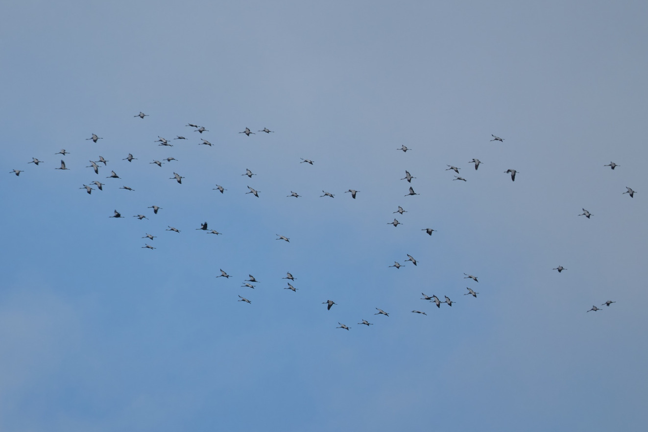 09102023 14 Sndag Traner Steen Offersen Flyvesandet