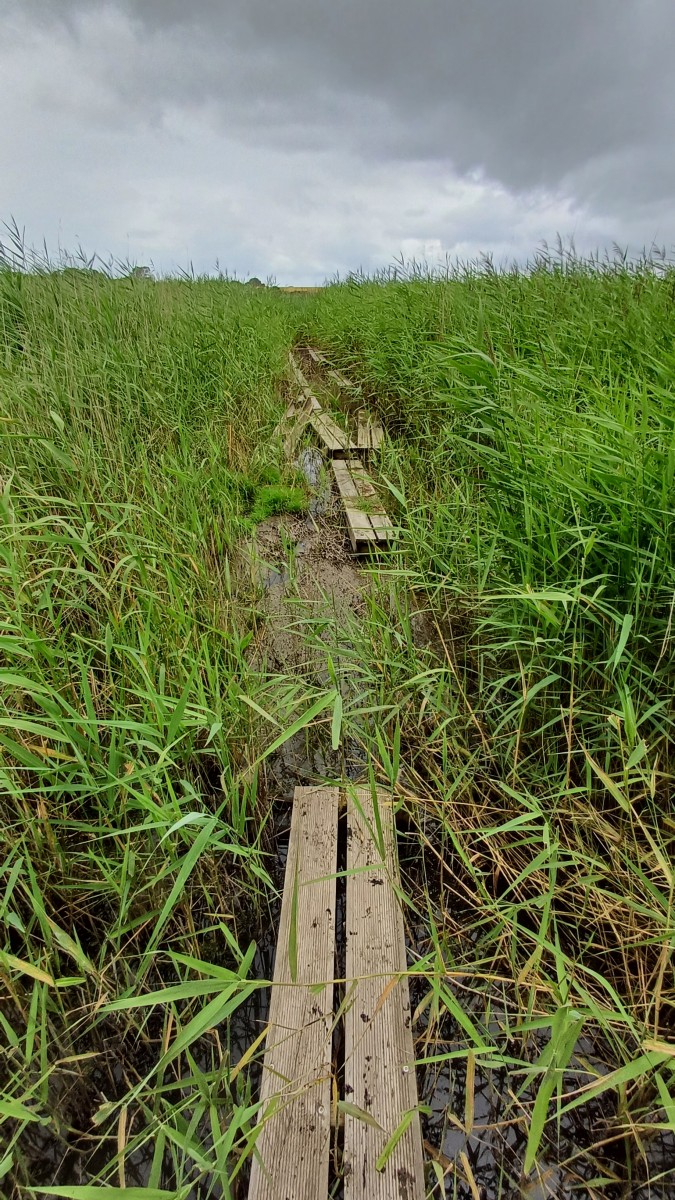Ryttergade KNF 20240717