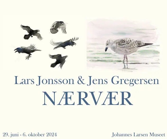 120724naervaer