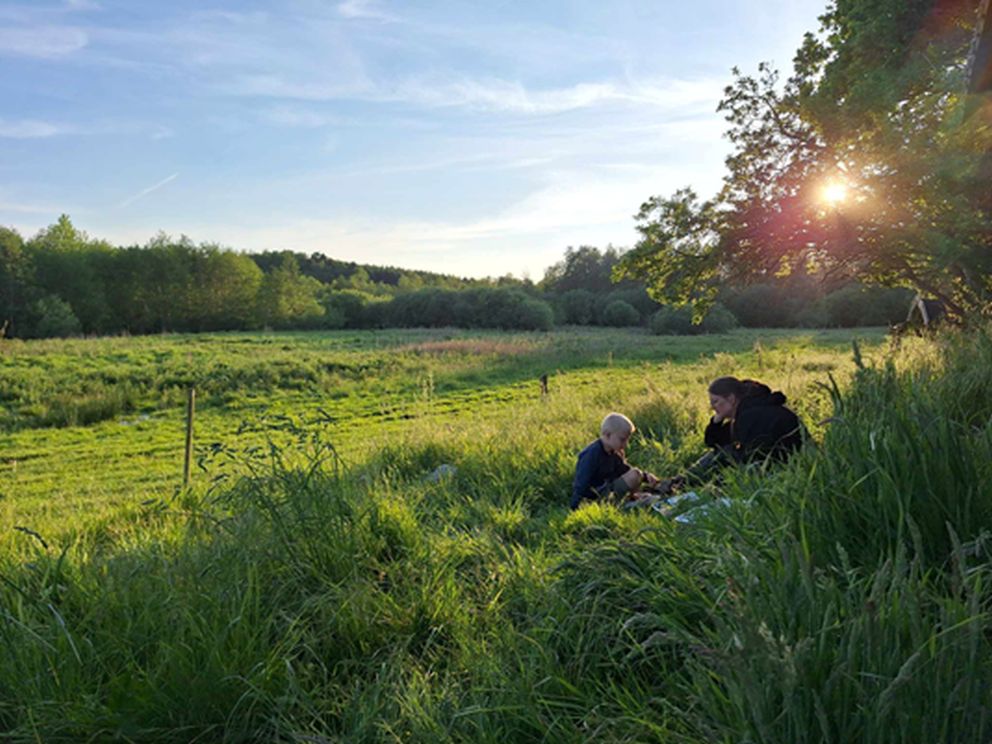 260524solnedgang