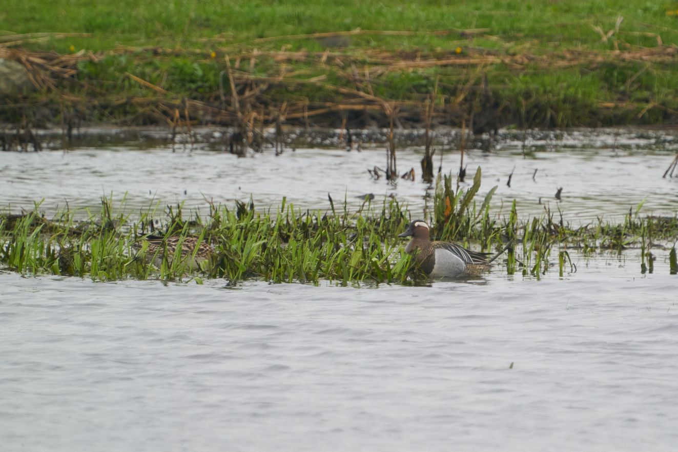 140424atlinglk