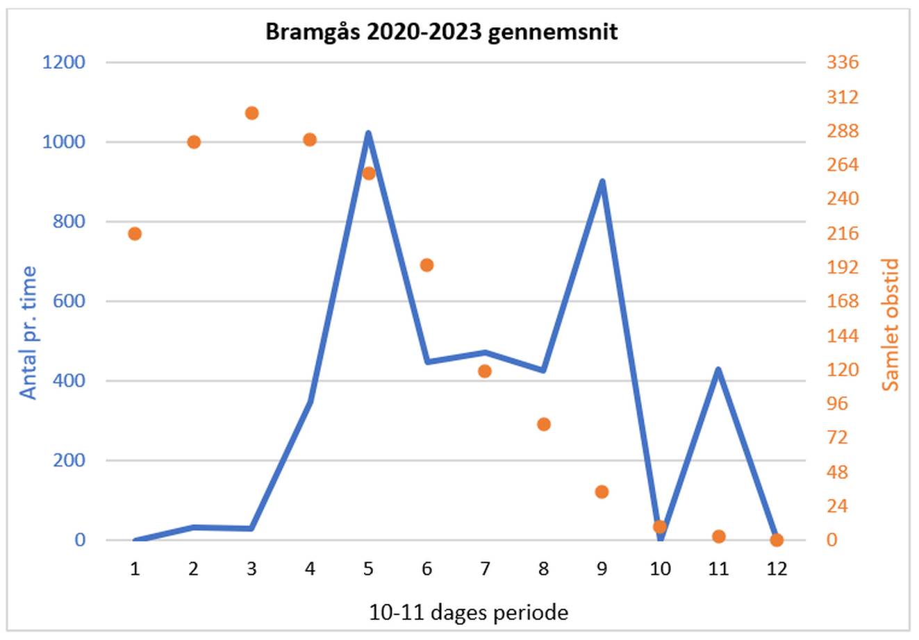 100224bramdiagram