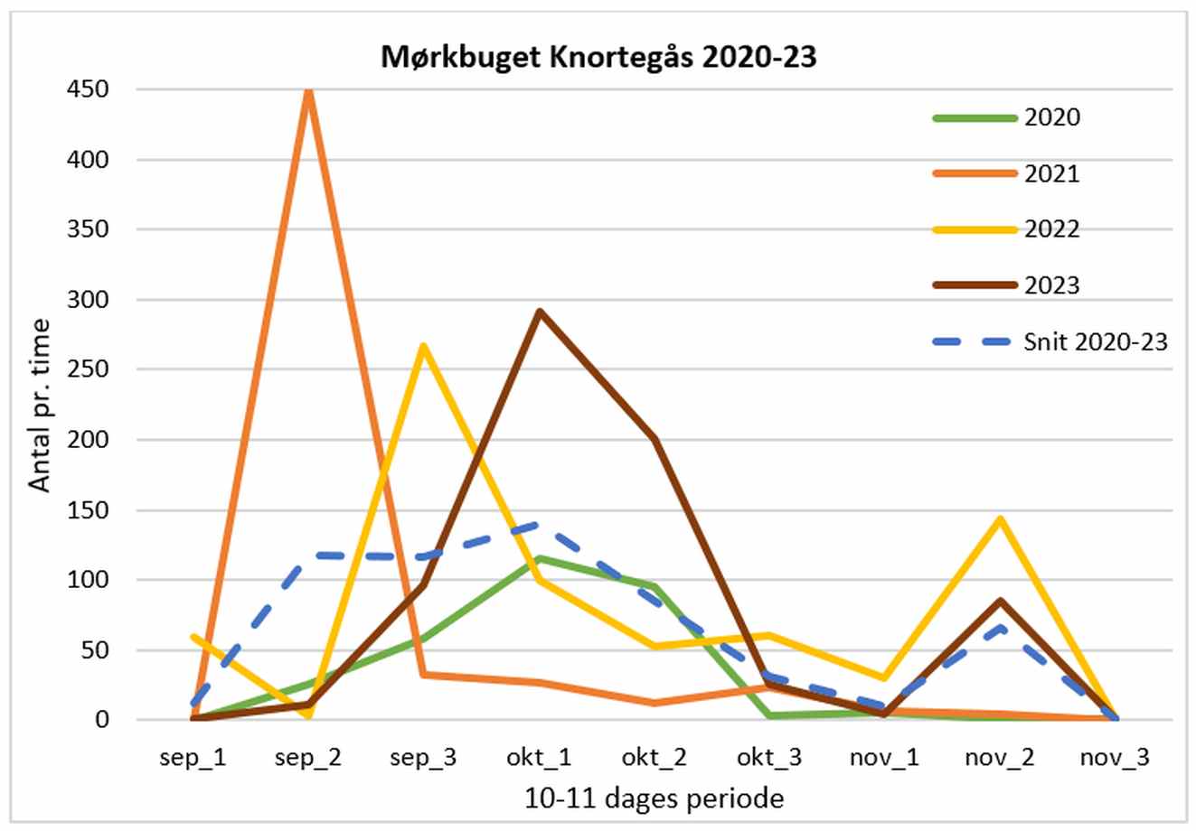 100224morkbugdiagram