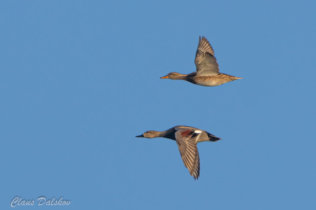 060126knarbotoftecld