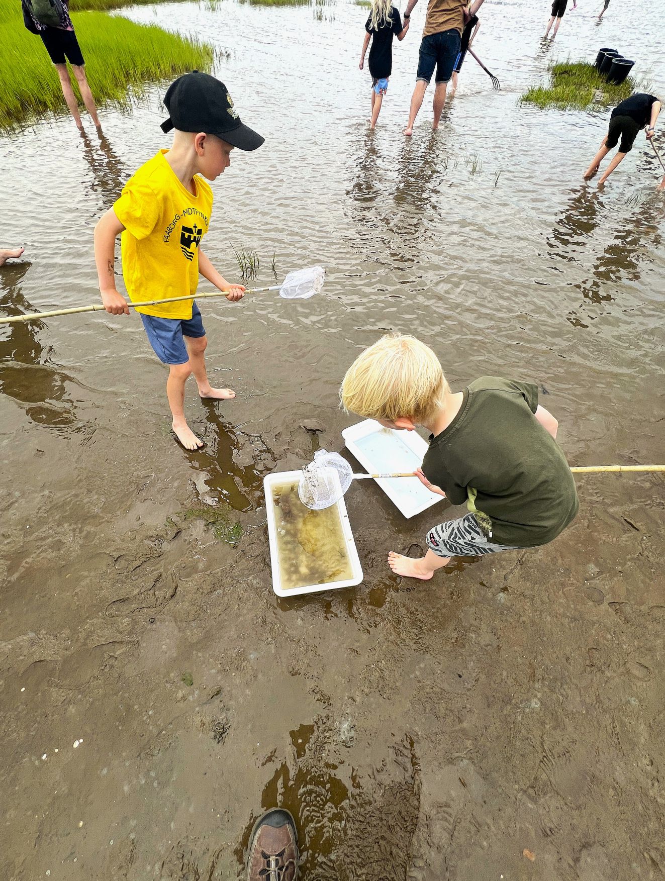 300625fiskebørnblr