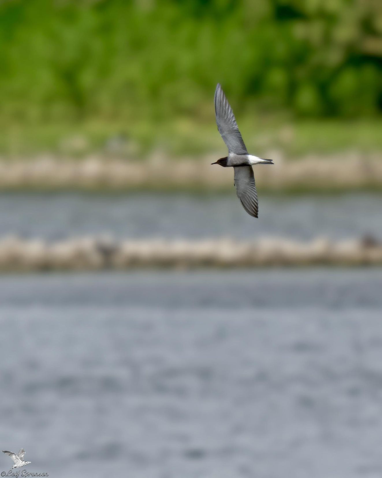 050625sortonsbrændels