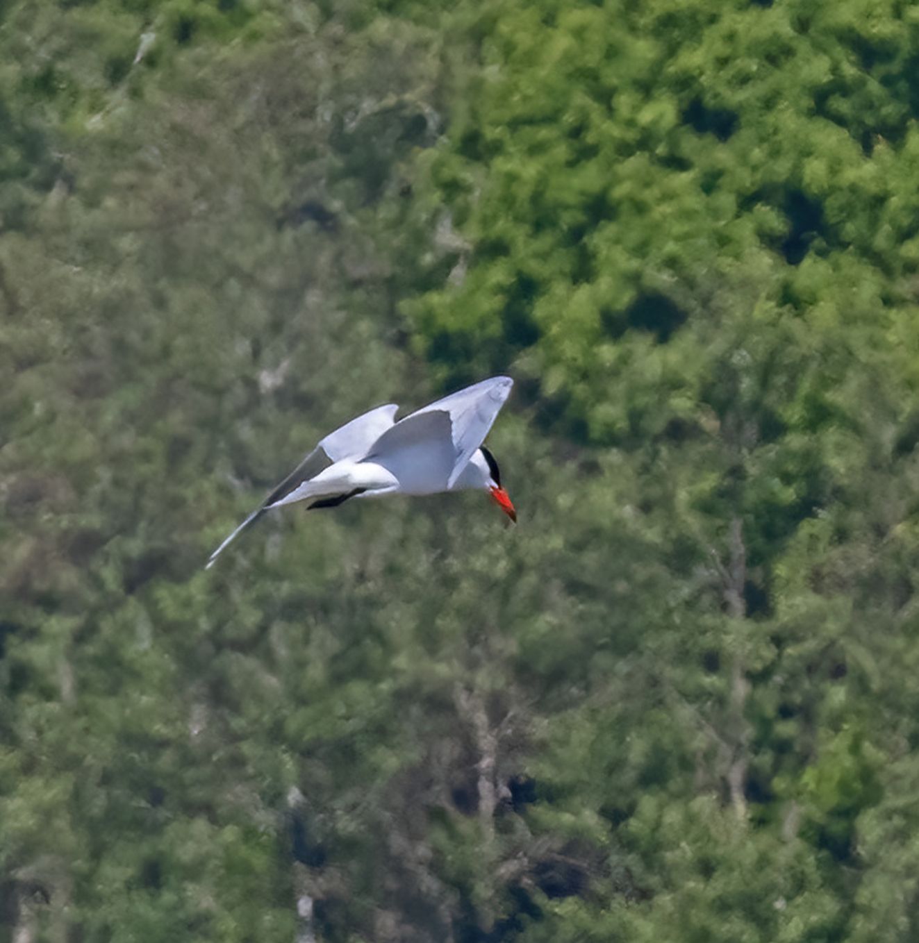 070625rov5majvejlkr