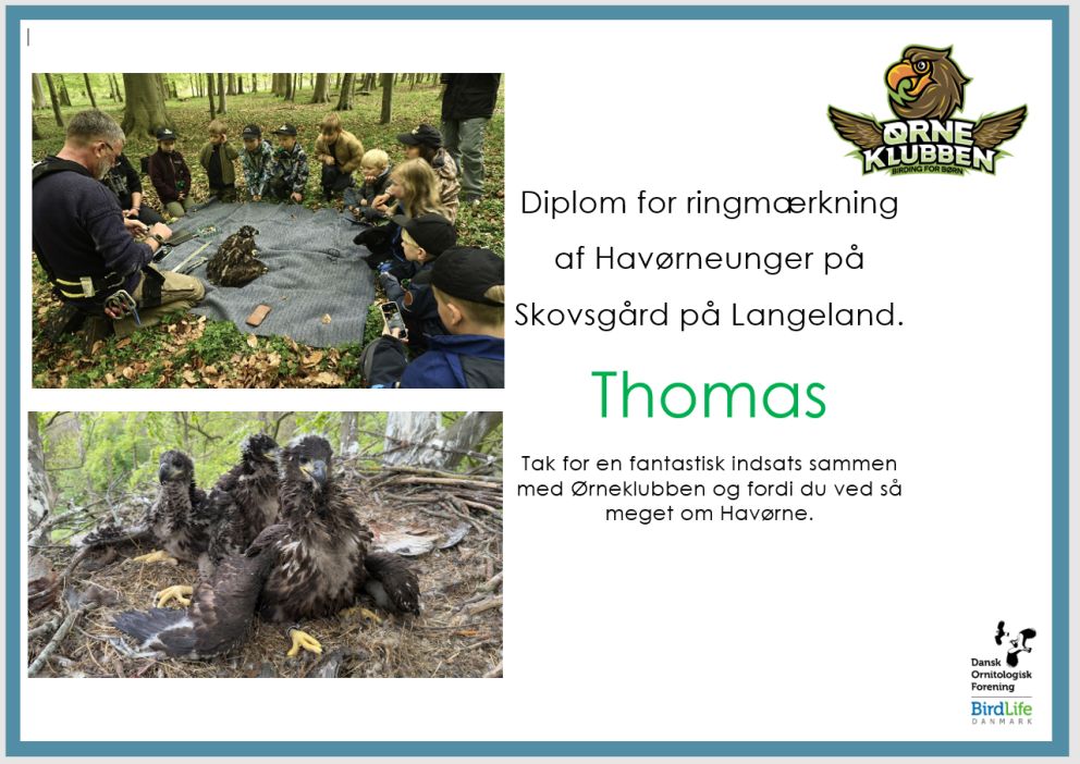 110525ørnediplom